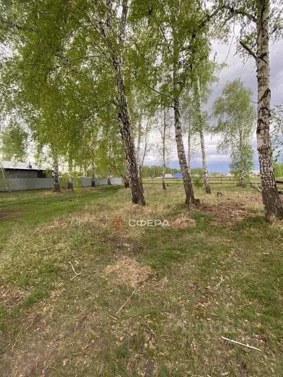 Участок в Новосибирская область, Ордынское рп ул. Малиновая, 16 (10.0 ... - Фото 1