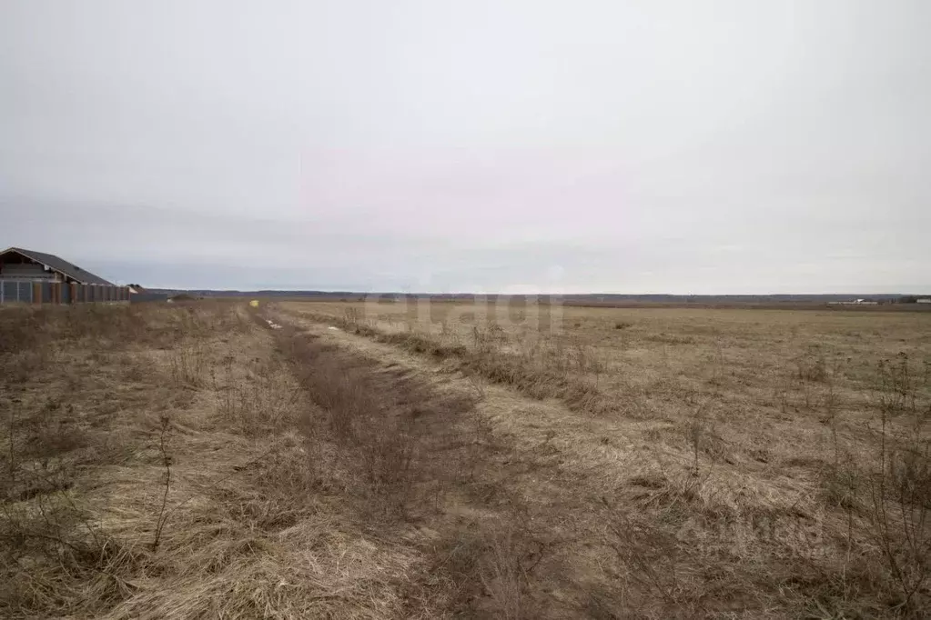 Участок в Калужская область, Дзержинский район, с. Дворцы ул. ... - Фото 0