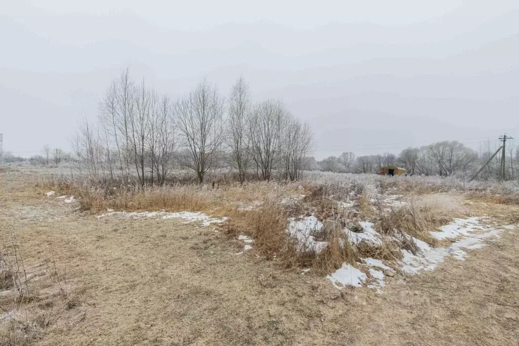 Участок в Владимирская область, Суздальский район, с. Новоалександрово ... - Фото 1