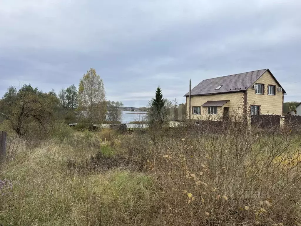 Участок в Псковская область, Себеж городское поселение, д. Затурье ул. ... - Фото 2