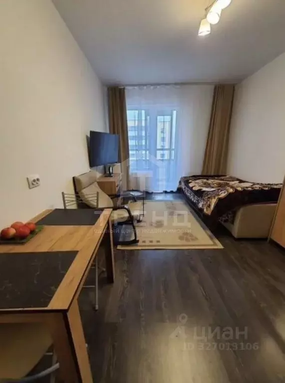 Студия Санкт-Петербург просп. Ветеранов, 185к3 (24.0 м) - Фото 1