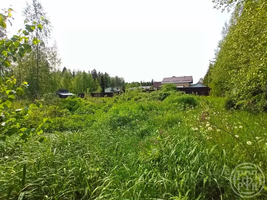 Участок в Ленинградская область, Сертолово Всеволожский район, Ягодка ... - Фото 1