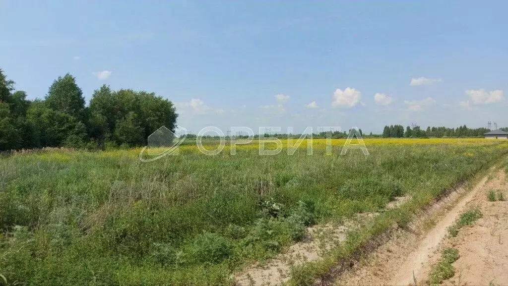 Участок в Тюменская область, Тюменский муниципальный округ, с. Борки  ... - Фото 2