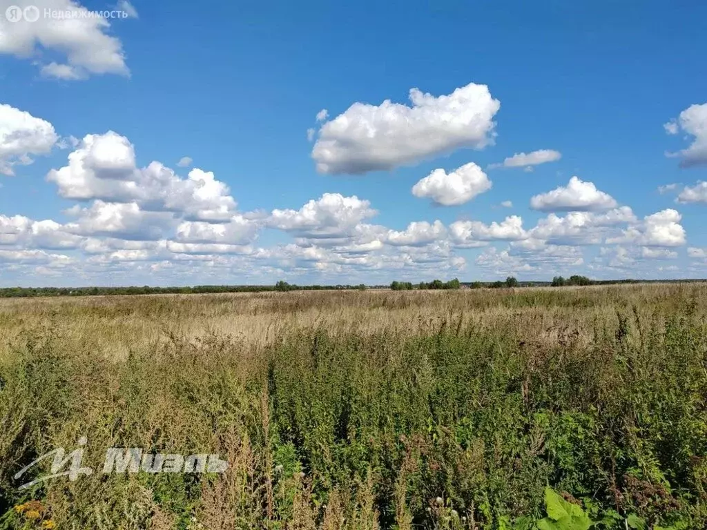 Участок в Раменский городской округ, коттеджный поселок Оттепель (6 м) - Фото 1