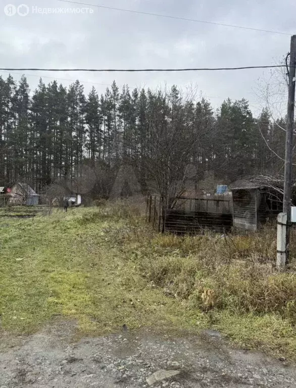 Участок в Екатеринбург, СНТ Янтарь, 2 (6.2 м) - Фото 1