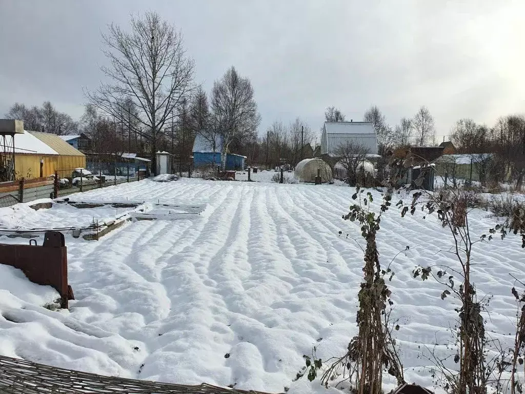 Участок в Камчатский край, Елизово Березка Многоотраслевого ... - Фото 0