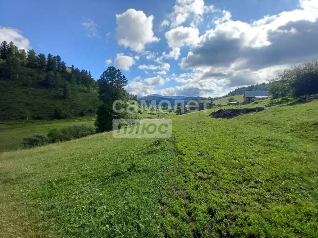 коттедж в алтай, майминский район, с. средний сайдыс заречная ул, 3 . - Фото 0