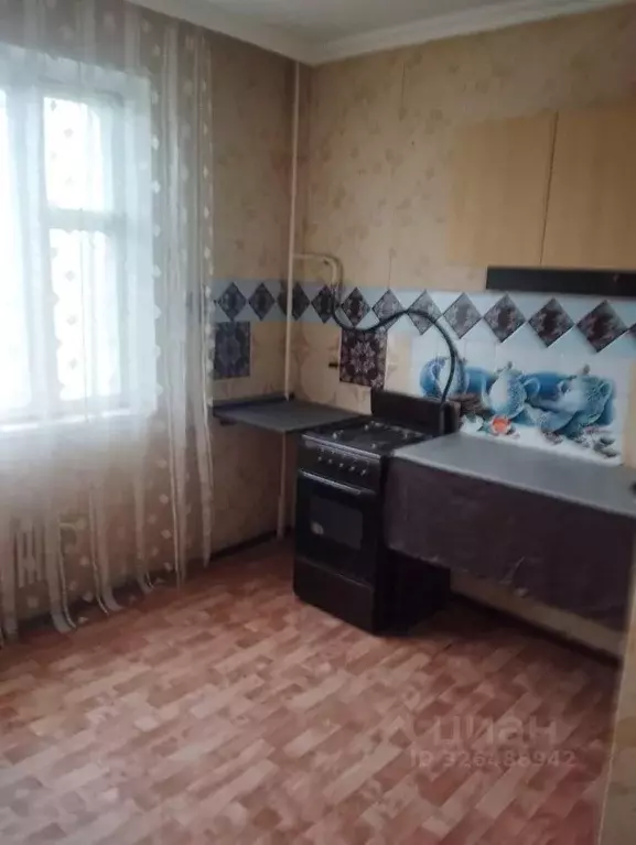 1-к кв. Адыгея, Майкоп Пионерская ул., 411 (33.0 м) - Фото 1