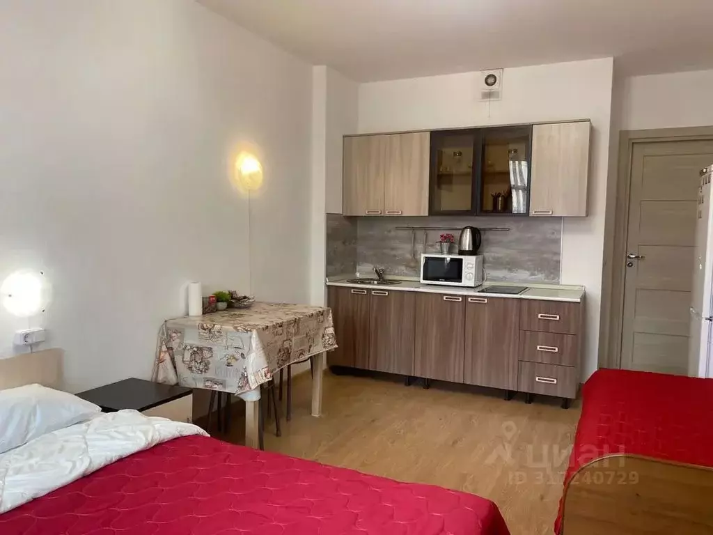 Студия Санкт-Петербург просп. Энергетиков, 9К1 (26.0 м) - Фото 1