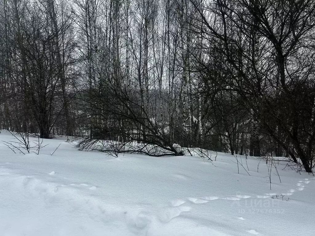 Участок в Московская область, Ступино городской округ, д. Бекетово ул. ... - Фото 1