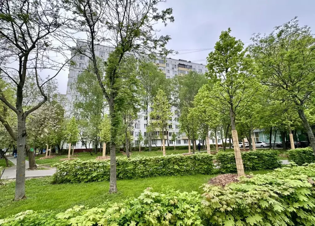 1-к кв. Москва Туристская ул., 13К1 (41.5 м) - Фото 2