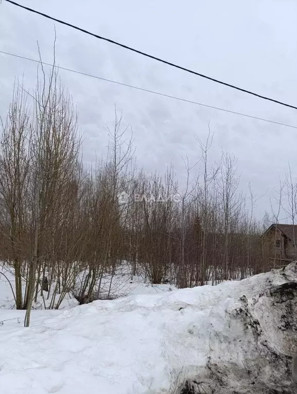 Участок в Нижегородская область, Нижний Новгород Имени К.А. Тимирязева ... - Фото 2