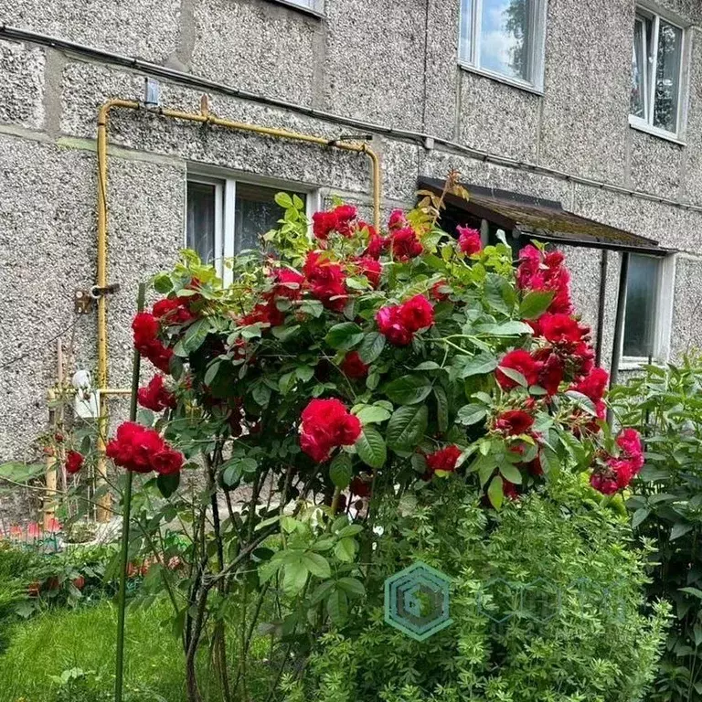 2-к кв. Калининградская область, Калининград ул. Баженова, 17 (44.0 м) - Фото 0