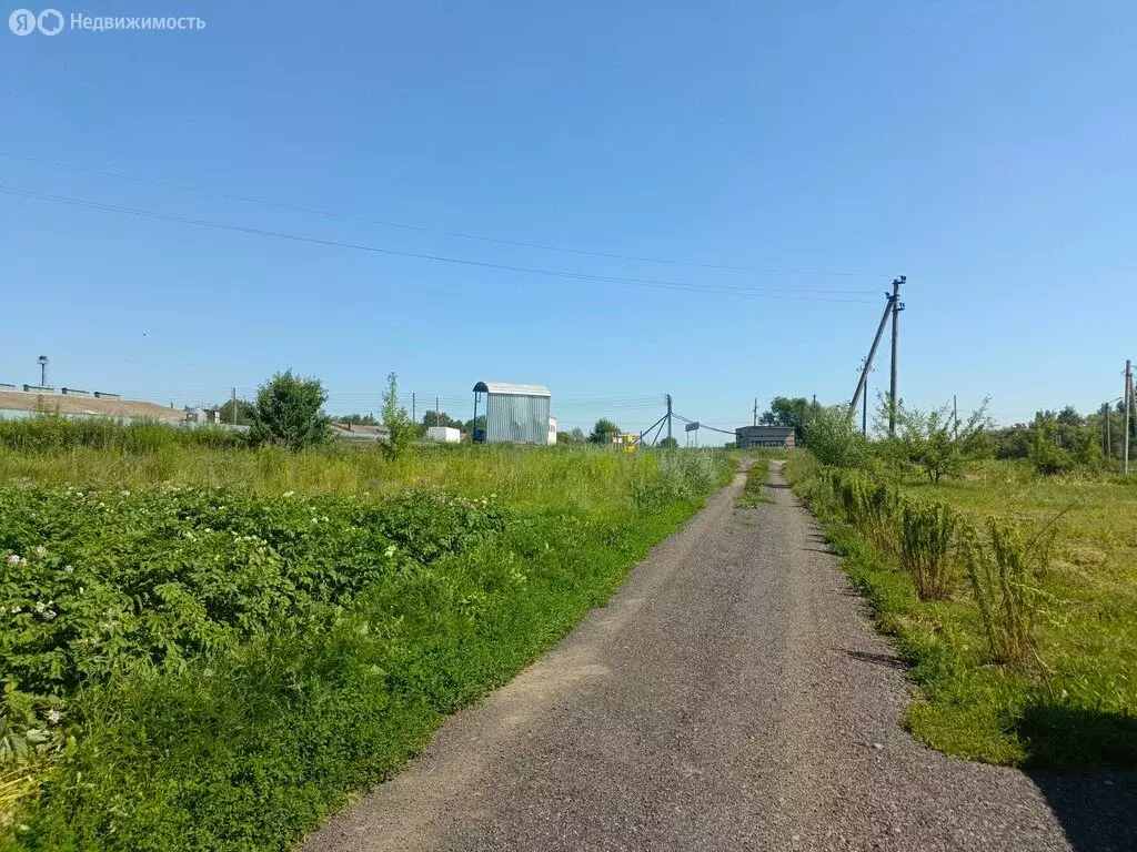 Участок в Железногорский район, Студенокский сельсовет (5 м) - Фото 0