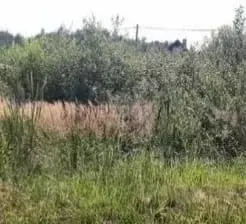 Участок в Ростовская область, Батайск Весна ДНТ, ул. 30-й Проезд (6.33 ... - Фото 1