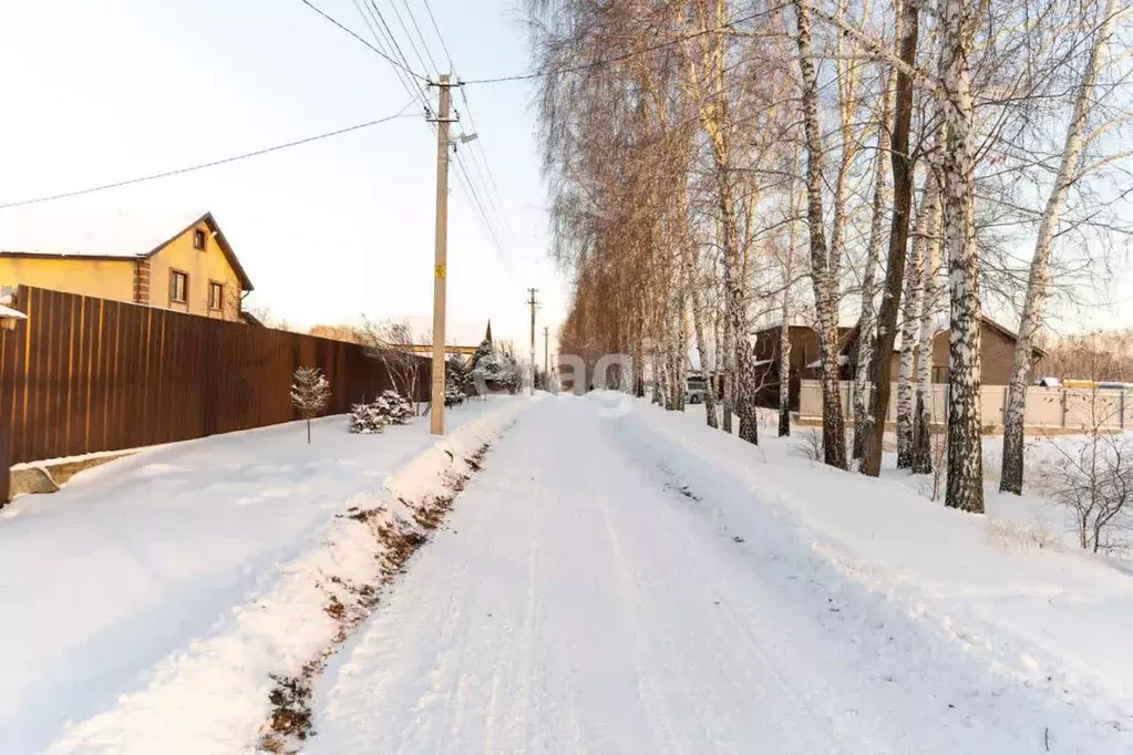 Участок в Новосибирская область, Новосибирский район, Мичуринский ... - Фото 0