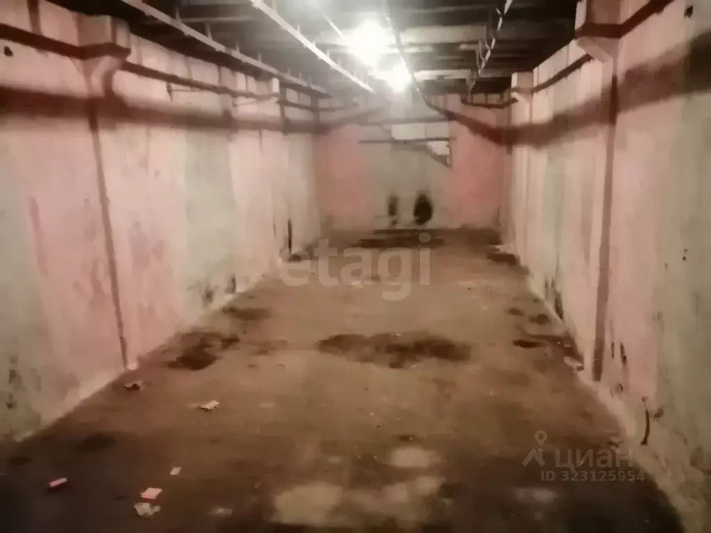 Гараж в Брянская область, Клинцовский район, пос. Первое Мая ул. ... - Фото 2