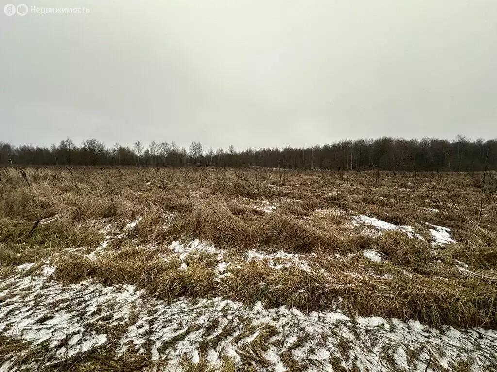 Участок в Сергиево-Посадский городской округ, деревня Малинники (1400 ... - Фото 1