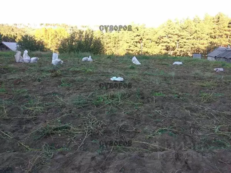 Участок в Иркутская область, Усольский район, Мишелевское ... - Фото 1