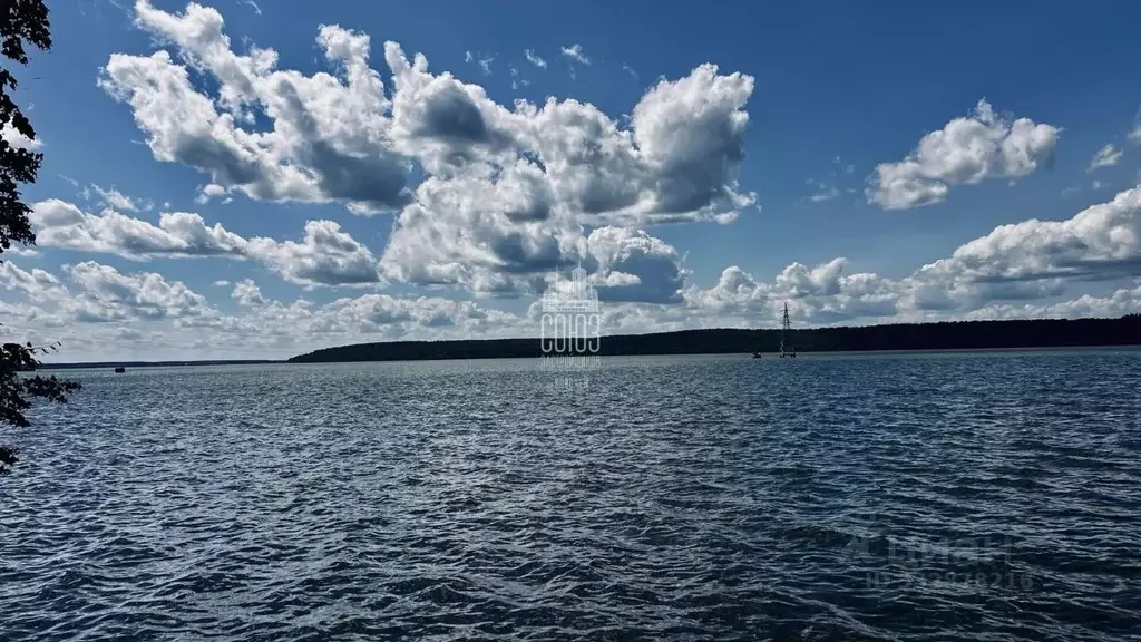 Участок в Воронежская область, Воронеж ул. Новикова, 205В (8.0 сот.) - Фото 1