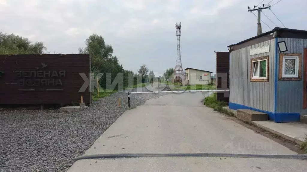 Участок в Новосибирская область, Новосибирский район, Кубовинский ... - Фото 2