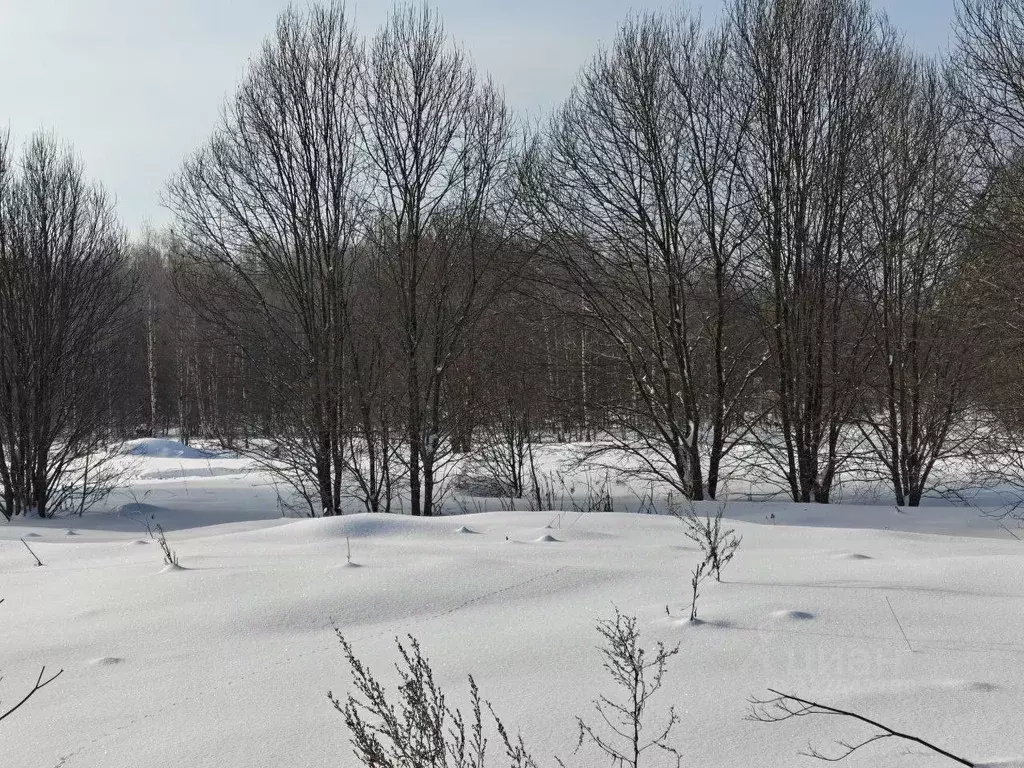 Участок в Московская область, Руза  (12.11 сот.) - Фото 0