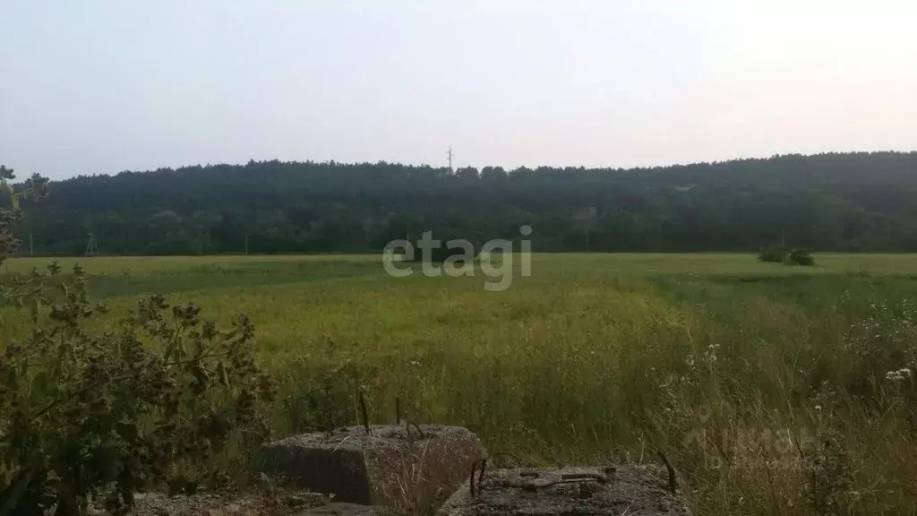 Участок в Крым, Симферопольский район, с. Донское ул. 60 лет СССР ... - Фото 0