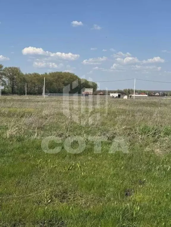 Участок в Воронежская область, с. Новая Усмань ул. Дачная (9.0 сот.) - Фото 1