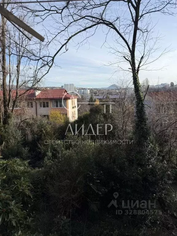 1-к кв. Краснодарский край, Сочи Гуковский пер., 10 (52.0 м) - Фото 2