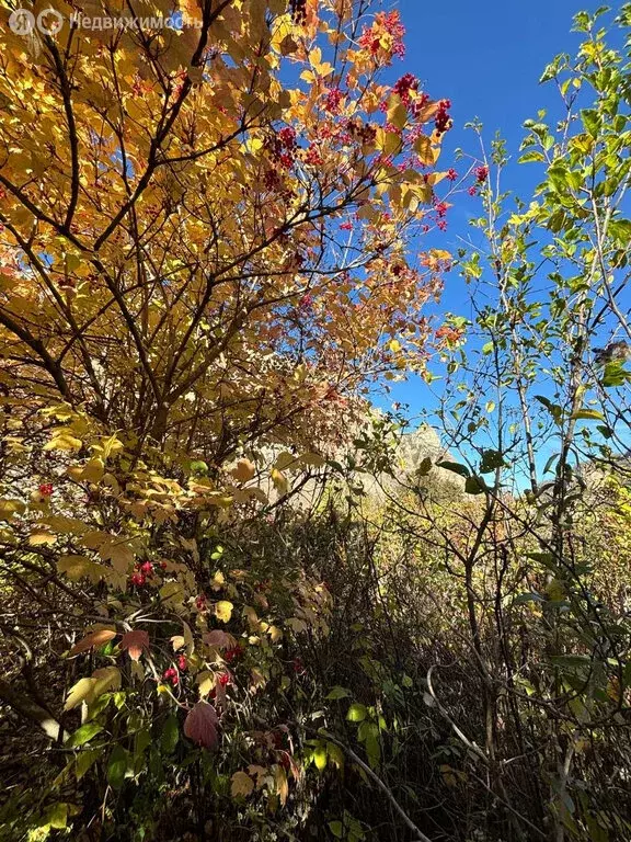 Участок в Былым, Подгорная улица, 22 (8.57 м) - Фото 2