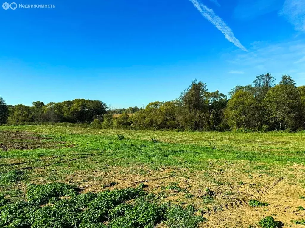 Участок в Московская область, городской округ Домодедово, посёлок ... - Фото 2