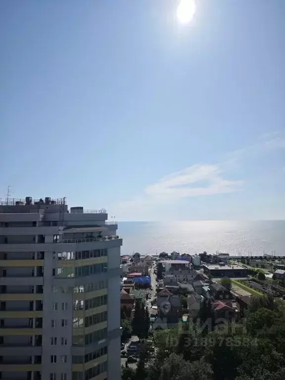 Студия Краснодарский край, Сочи ул. Ленина, 298б (30.0 м) - Фото 0