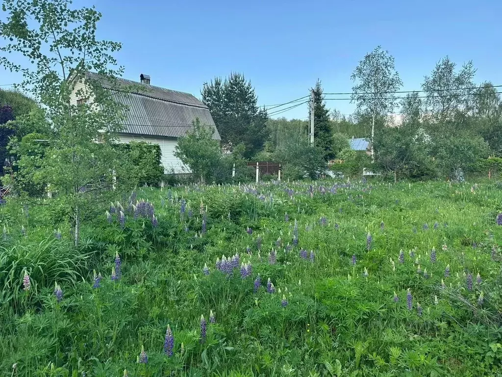 Участок в Москва Аркадия СНТ,  (8.0 сот.) - Фото 1