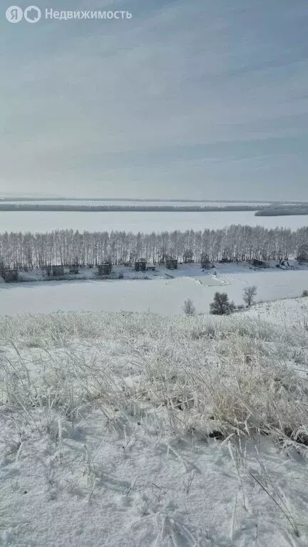 Помещение свободного назначения (3250 м) - Фото 2