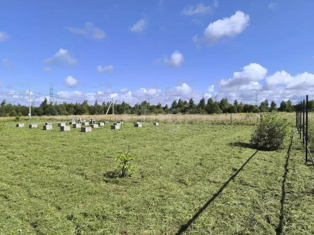 Участок в Псковская область, Псковский район, Завеличенская волость, ... - Фото 1