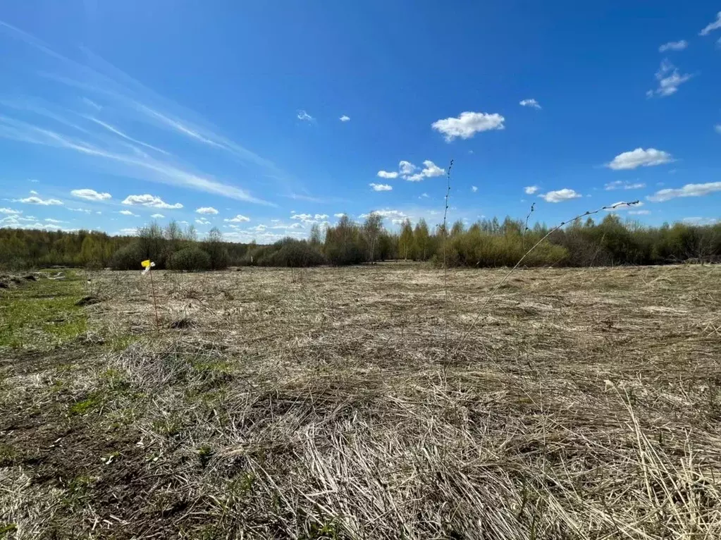 Участок в Нижегородская область, Богородский район, с. Афанасьево ул. ... - Фото 1