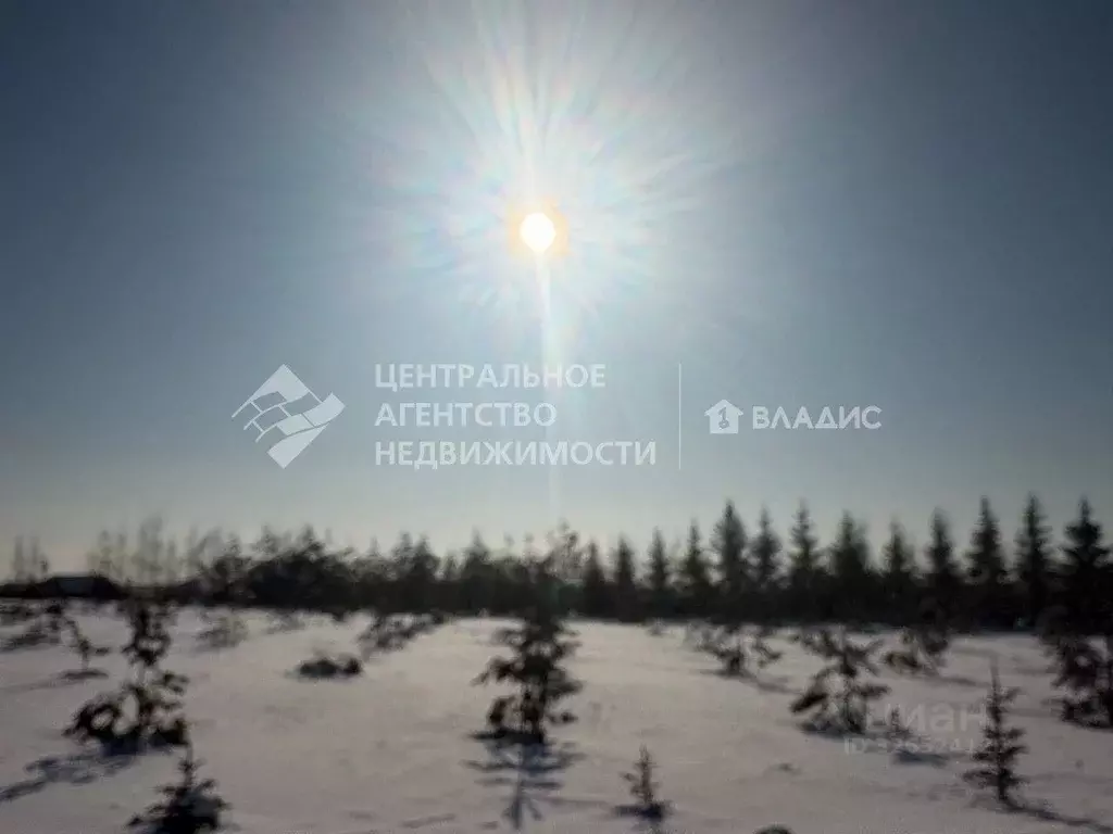 Участок в Рязанская область, Рязанский муниципальный округ, д. ... - Фото 2