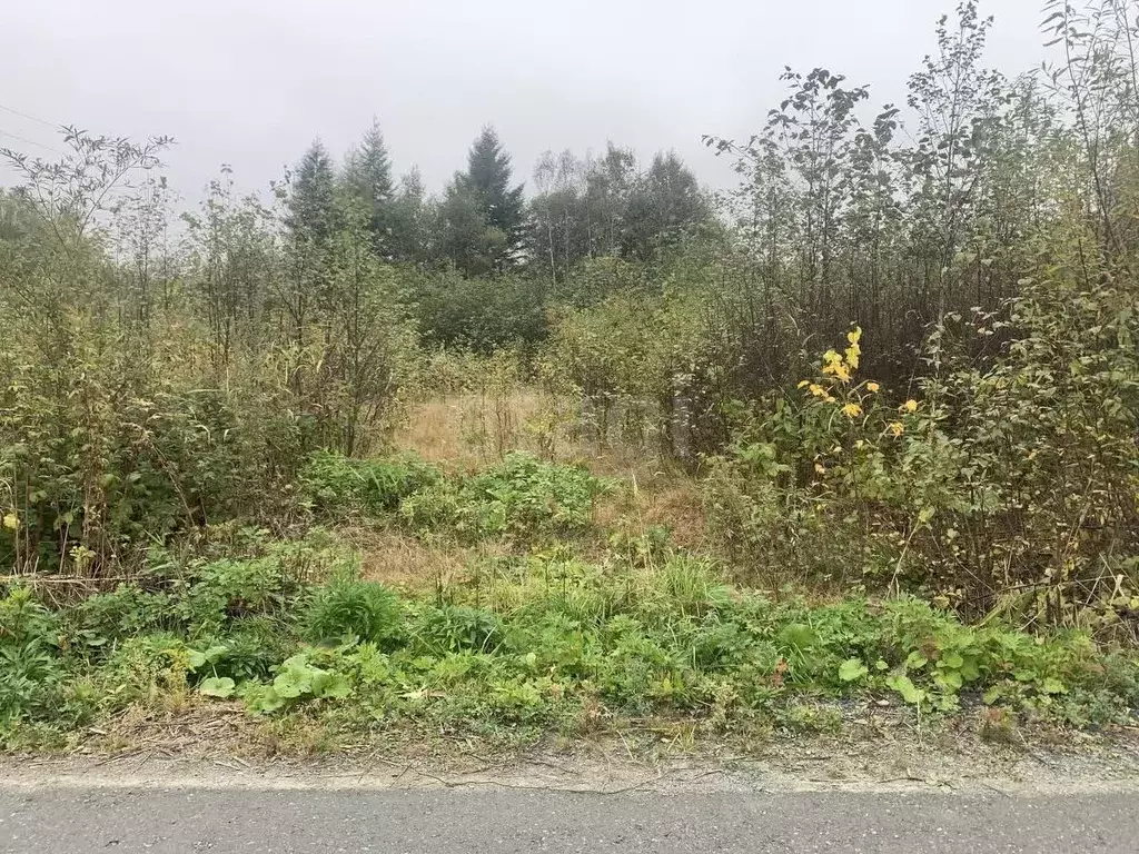 Участок в Сахалинская область, Южно-Сахалинск Эврика СНТ, 19 (10.4 ... - Фото 1