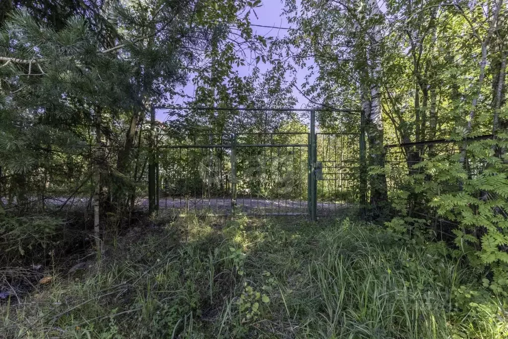 Участок в Ленинградская область, Кировский район, Синявинское ... - Фото 1