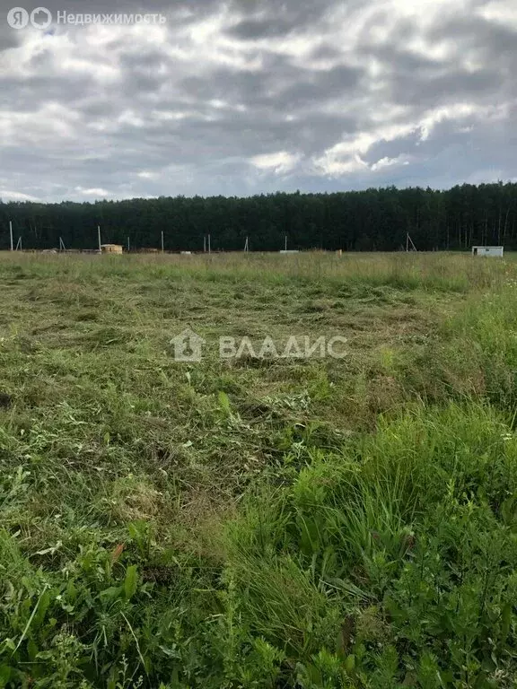 Участок в село Бабаево, Грибная улица, 9 (11.49 м) - Фото 2