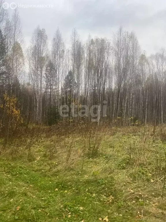 Участок в Турочакский район, село Усть-Лебедь, Речная улица (100 м) - Фото 1