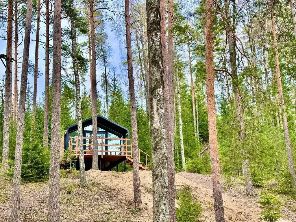 Дом в Курская область, Касторенский район, с. Орехово  (35 м) - Фото 1