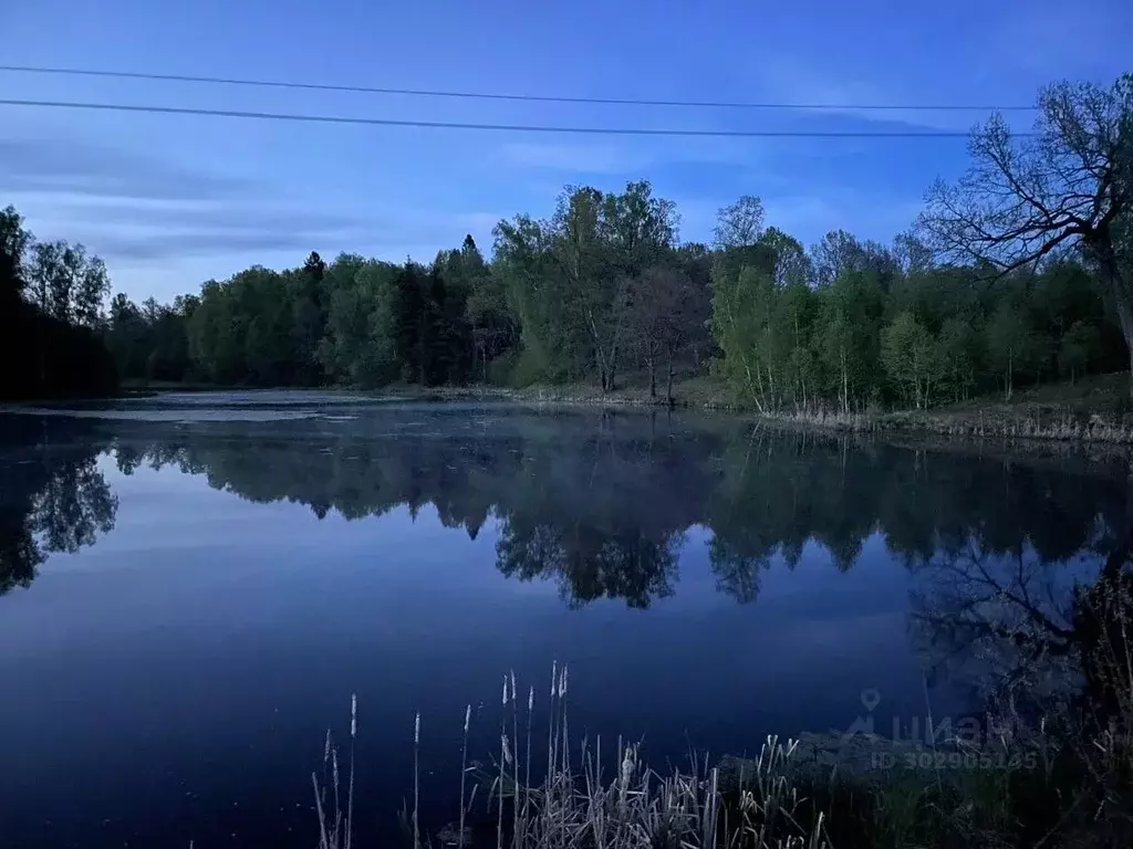 Участок в Калужская область, Жуковский район, с. Совхоз Чаусово  ... - Фото 0