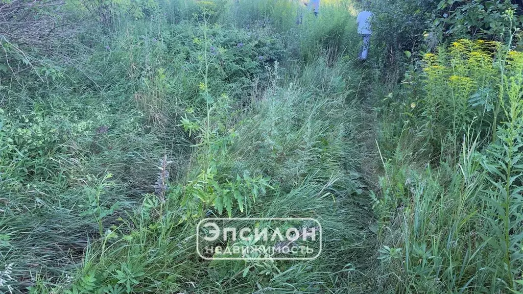 Участок 10 сот. (СНТ, ДНП) - Фото 1