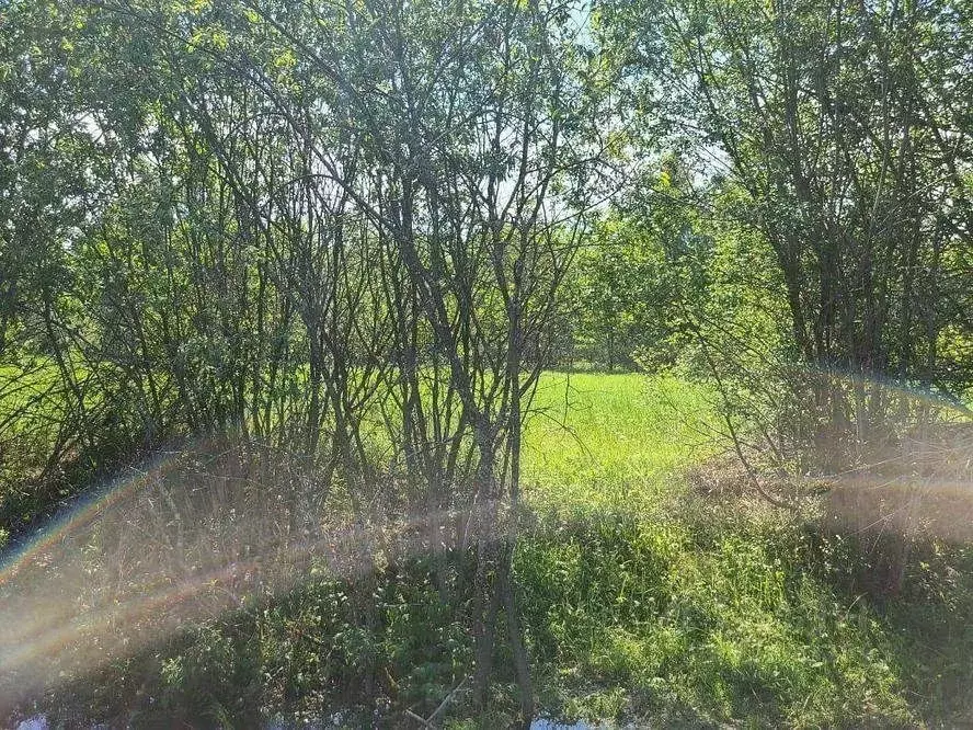 Участок в Ленинградская область, Лужский район, пос. Скреблово  (9.15 ... - Фото 1