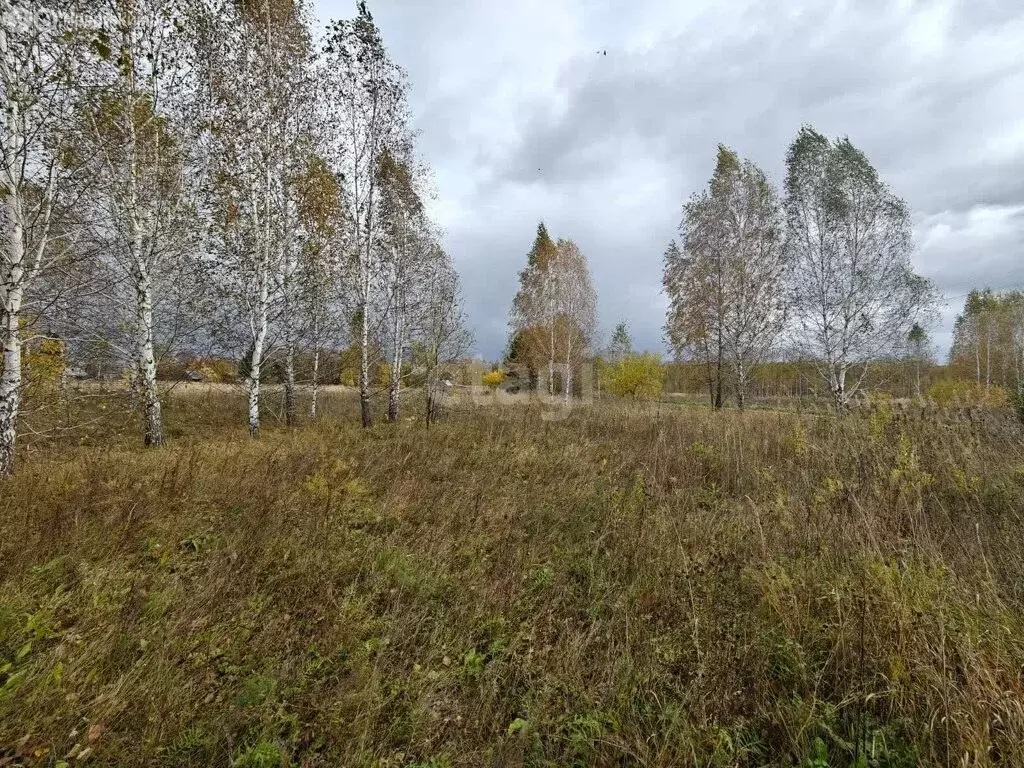 Участок в Мошковский район, посёлок Кошево (15.7 м) - Фото 0