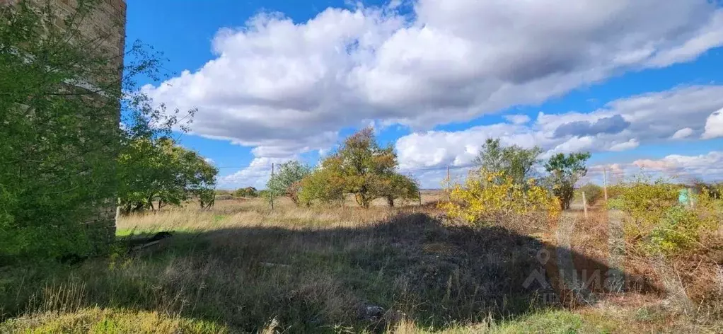 Участок в Крым, Симферопольский район, 3-й массив садовые участки ул. ... - Фото 2
