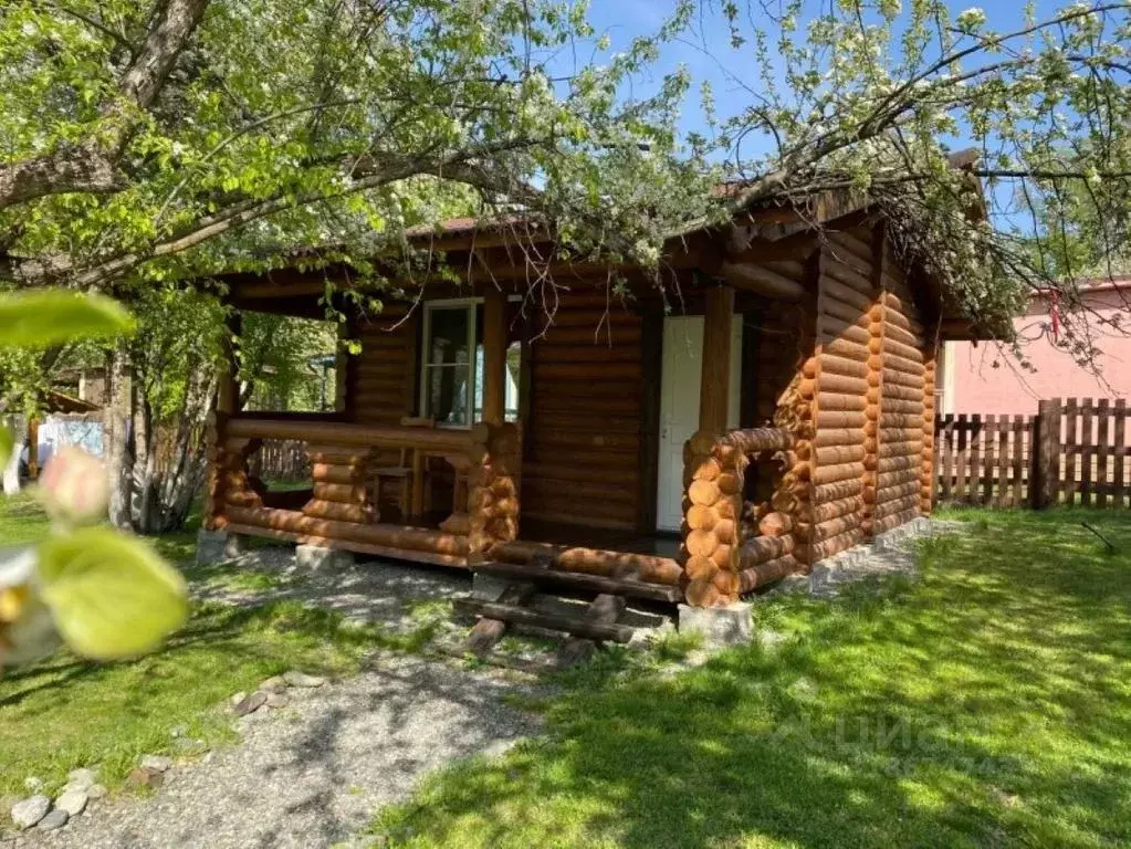 Дом в Алтай, Чемальский район, с. Анос пер. Дачный, 2 (46 м) - Фото 0