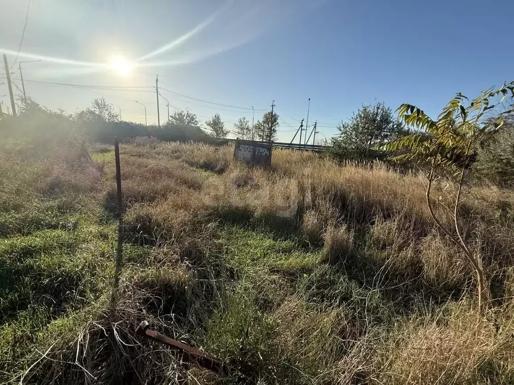 Участок в Краснодарский край, Темрюкский район, Запорожское с/пос, ... - Фото 2