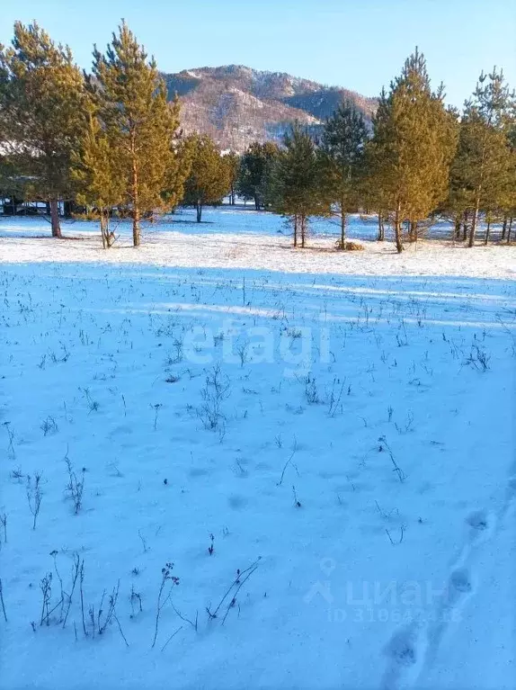 Участок в Алтай, Чемальский район, Элекмонарское с/пос, с. Элекмонар  ... - Фото 0